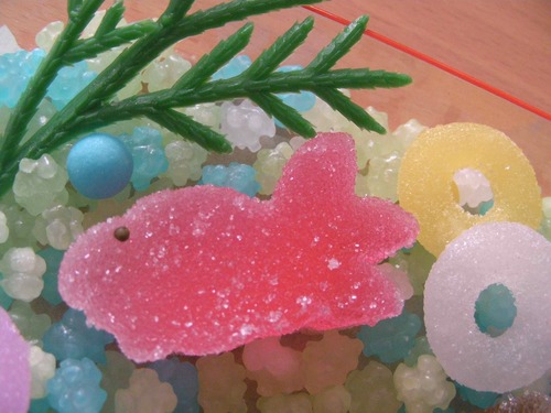 金魚菓子アップ