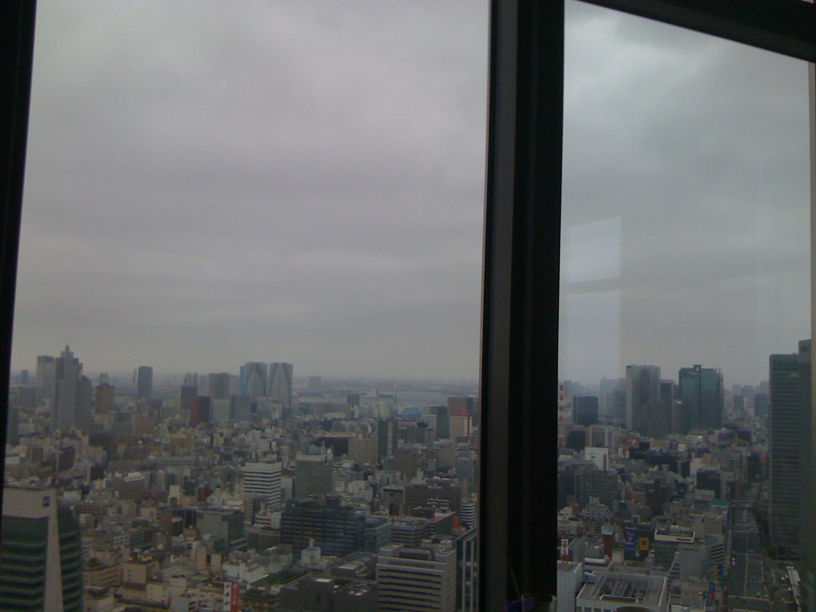 Kshiki_view