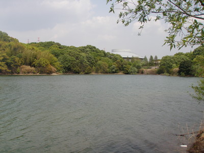 P4280187