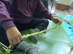 IMG_0976
