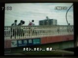 utaou-kamoi