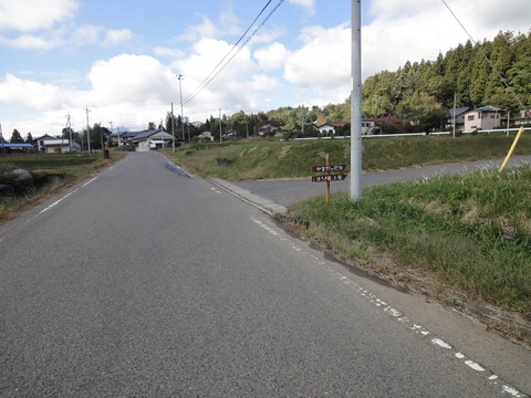 コキア4
