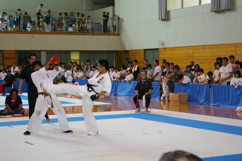 83b8ffc4.jpg