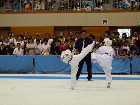 8c51e634.jpg