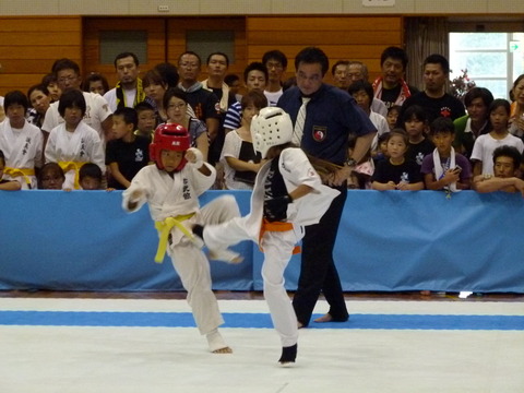 b324a3f0.jpg