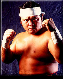 hashimoto1