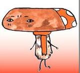 shiitake