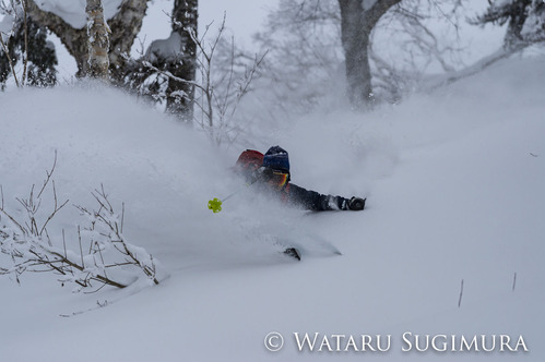 Yusuke_Otari-2449