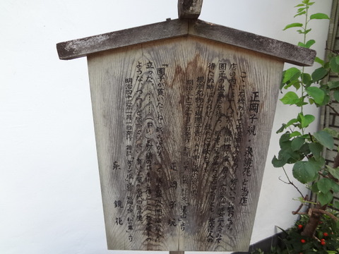 DSC00945