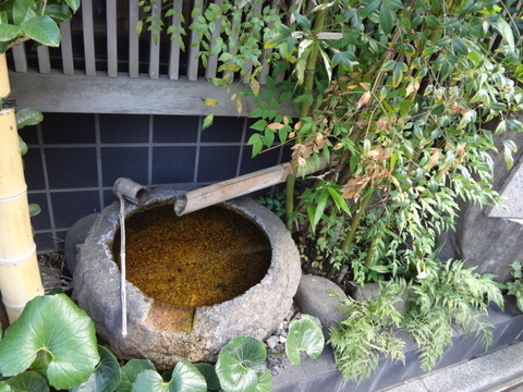 DSC00947