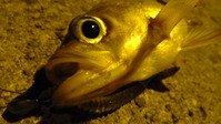 P1010039