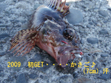 BlogPaint