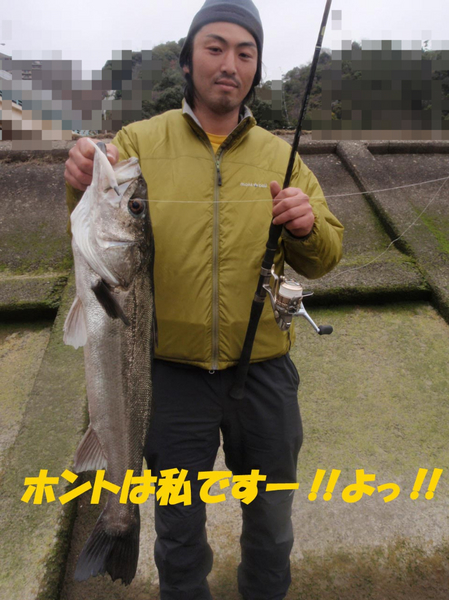 BlogPaint