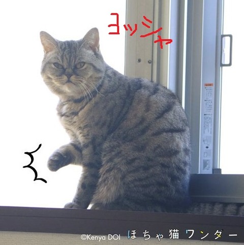 CfuGbYpUMAAtZ0f