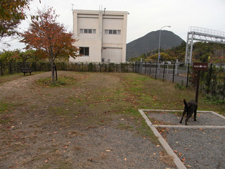 resize0005
