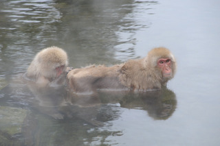 resize0009