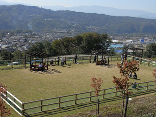 resize0010