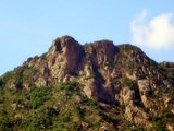 ライオン・ロック