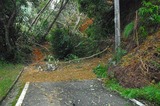 dourohigai2