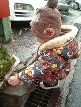 雪