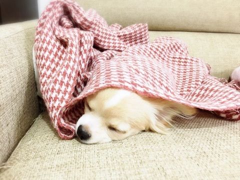 {9400B6F1-24F6-4C71-B399-F3EB14D35BFB:01}