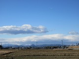 2016_12290004