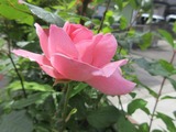 2016_05280015