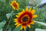 2011_08290012