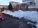 2015_01310001
