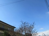 2016_11280001