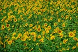 2010_09290013