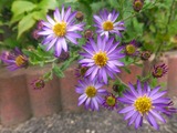 2012_10280001