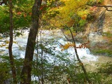 2012_10300009