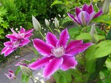 2012_05230023