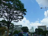 2013_06270016