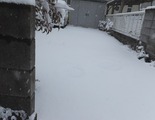 2015_01300006