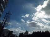 2016_02250005