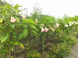 2014_09100001