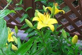 2011_06260002