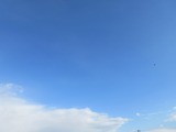 2016_11280002