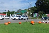 2010_09290015
