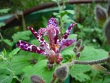 2009_09220005