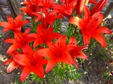 2012_06250019