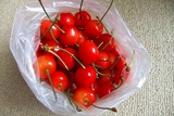 2011_06270004