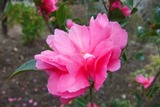 2011_11250007