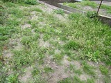 2017_04290013