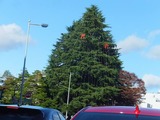 2015_11270001
