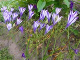 2012_06250017