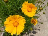 2015_05310014