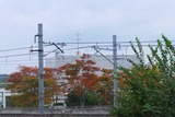 2010_10300003